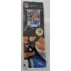 Detroit Lions Flag Two-Sided 29" X43" NFL Decorative Team Flag NEW